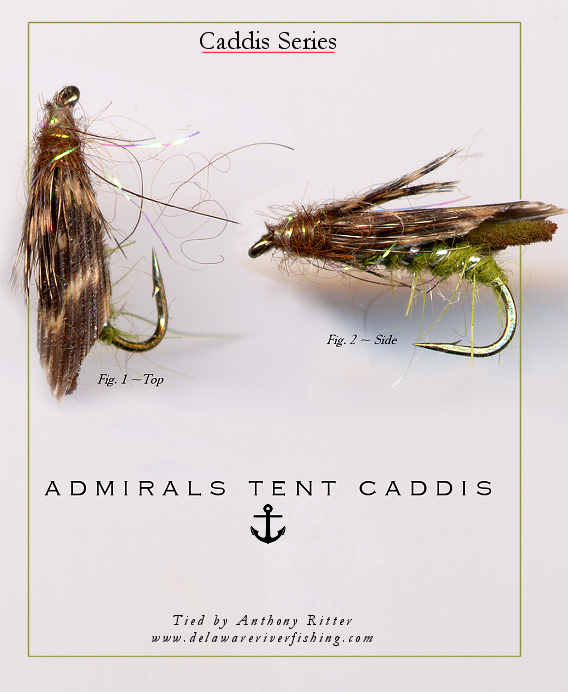SOFT HACKLES, TIGHT LINES: Stone Fly; Stone Flye or Flie; and, the Montana  Stonefly