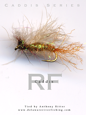 Dark Wing Gray Elk Hair Caddis fly pattern for trout fishing